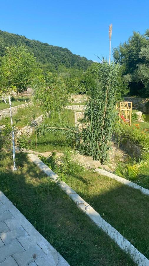 Sosyete Cobani Dogal Yasam Oteli Kandira Dış mekan fotoğraf