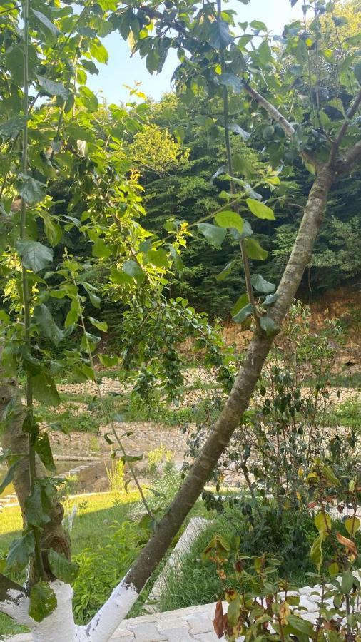 Sosyete Cobani Dogal Yasam Oteli Kandira Dış mekan fotoğraf